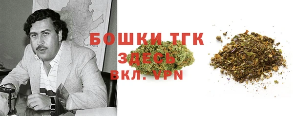 бошки Бородино