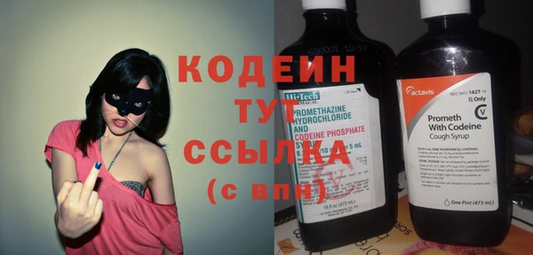 бошки Бородино