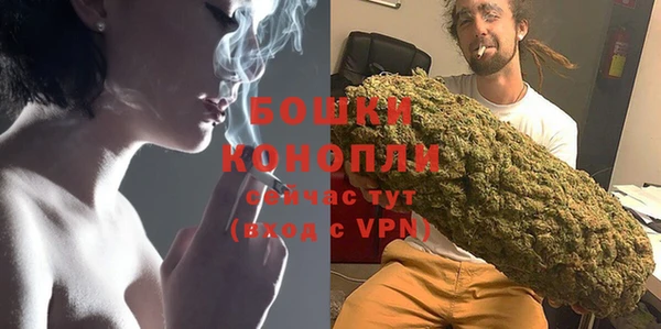 бошки Бородино