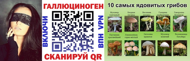 купить наркотики цена  Ясногорск  кракен ссылки  Галлюциногенные грибы Psilocybe 